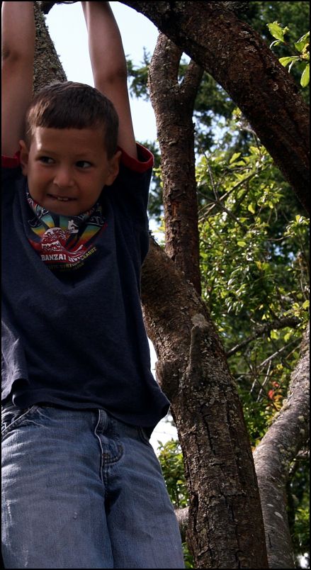Luke